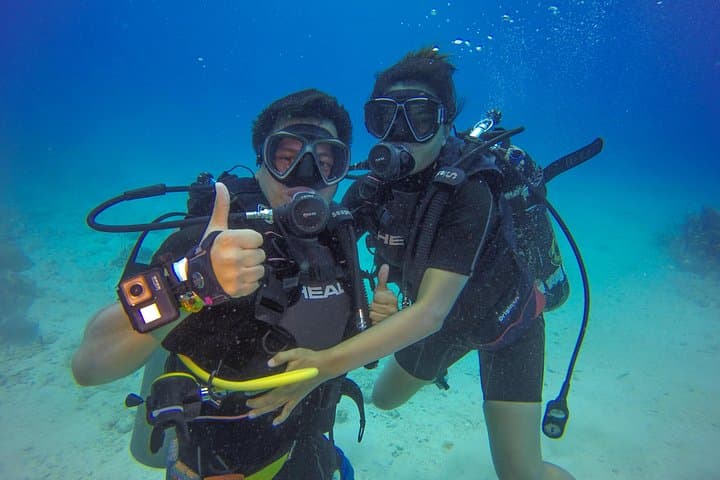 Catalina Island Full-Day Scuba Diving from Punta Cana — Wall Dives, 'Aquarium' & Beach BBQ photo 1