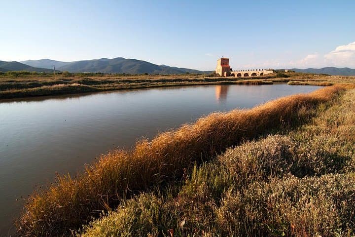 Castiglione della Pescaia Guided Walk: Medieval Walls, Pine Forests & Marsh Views photo 2