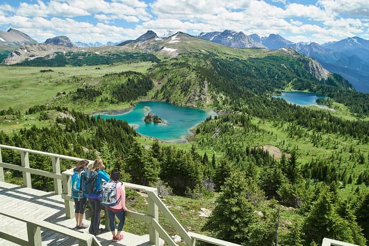 Banff Sunshine Village Gondola and Standish Viewpoint Scenic Ride photo 3