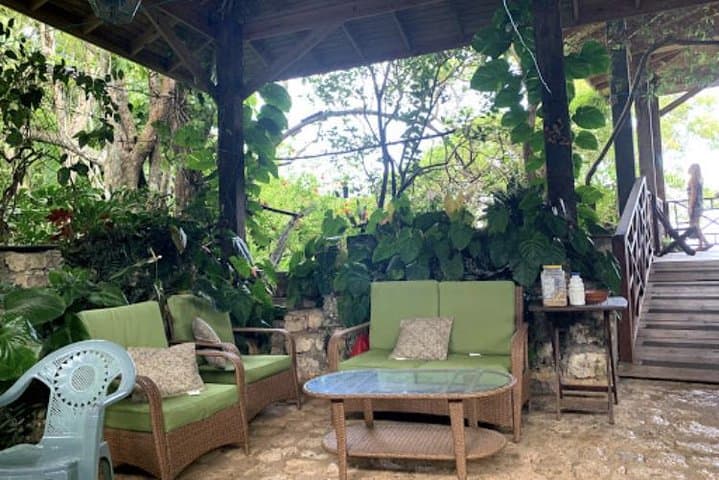 Rocklands Bird Sanctuary: Montego Bay Hummingbird Experience and Garden Walk photo 3