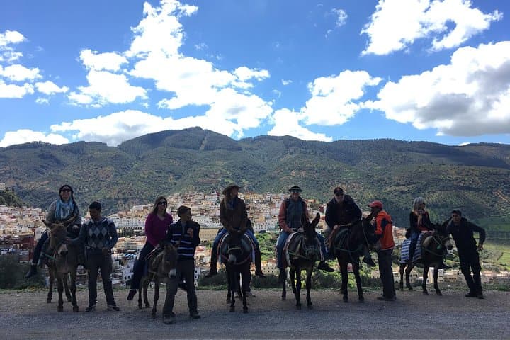 Donkey Ride from Moulay Idriss to Volubilis: Olive-Grove Passage to Roman Ruins photo 1