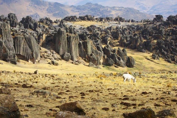 Hatunmachay Rock Forest: Full‑Day Climbing & Scenic Tour from Huaraz photo 5