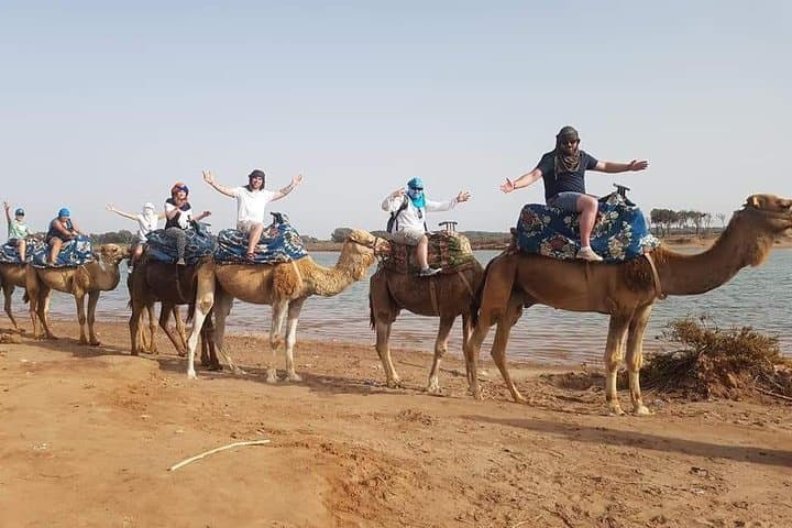 Agadir Dromedary Safari: 2-Hour Camel Ride on the Dunes & Flamingo Flats photo 3