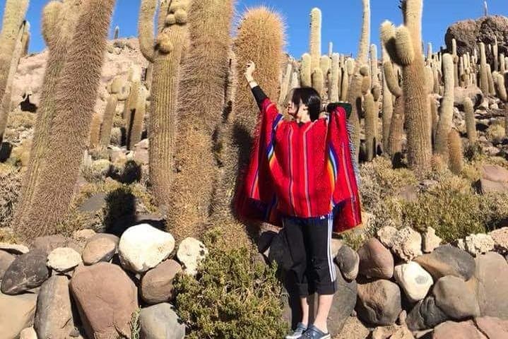 VIP 3-Day Private Tour to Salar de Uyuni from San Pedro de Atacama photo 6