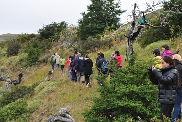 Torres del Paine Full-Day Overland 4x4 from El Calafate — Salto Grande, Pehoe & Laguna Amarga photo 6