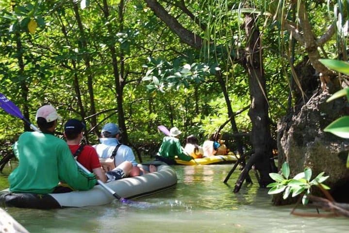 Speedboat to James Bond Island: Full-Day Sea Canoe Tour from Phuket photo 4