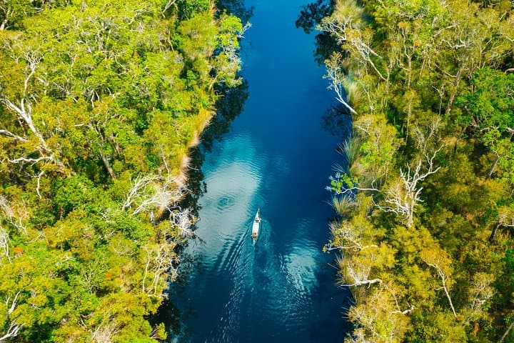 Paddling the Noosa Everglades: Canoe Trip to Harry's Hut photo 5