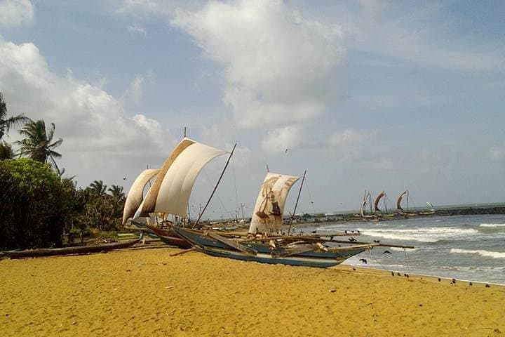 12-Day Round Tour of Sri Lanka by Bus: Ancient Cities, Safaris & Coastal Beaches