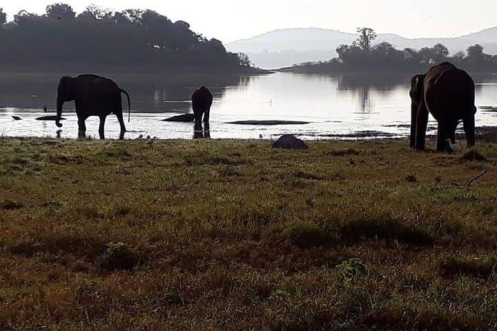 12-Day Round Tour of Sri Lanka by Bus: Ancient Cities, Safaris & Coastal Beaches photo 5