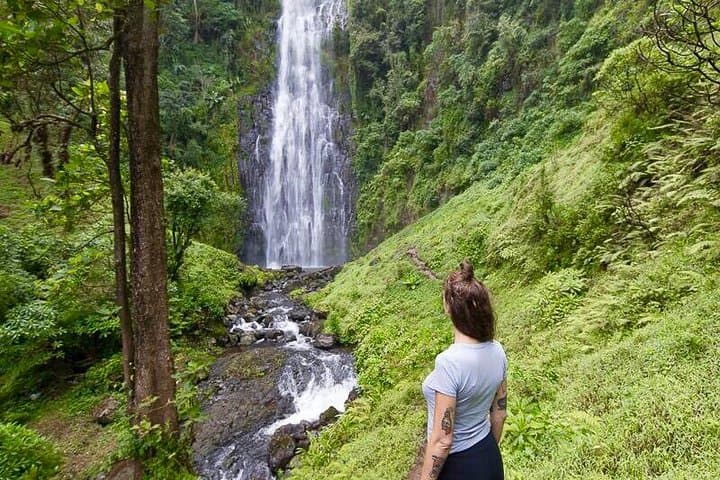 Materuni Waterfalls & Chagga Coffee Tour from Moshi — Day Trip Guide photo 2