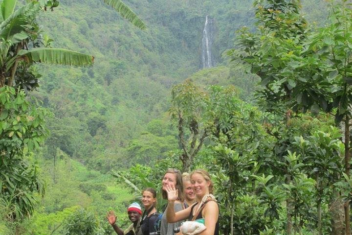 Materuni Waterfalls & Chagga Coffee Tour from Moshi — Day Trip Guide photo 3