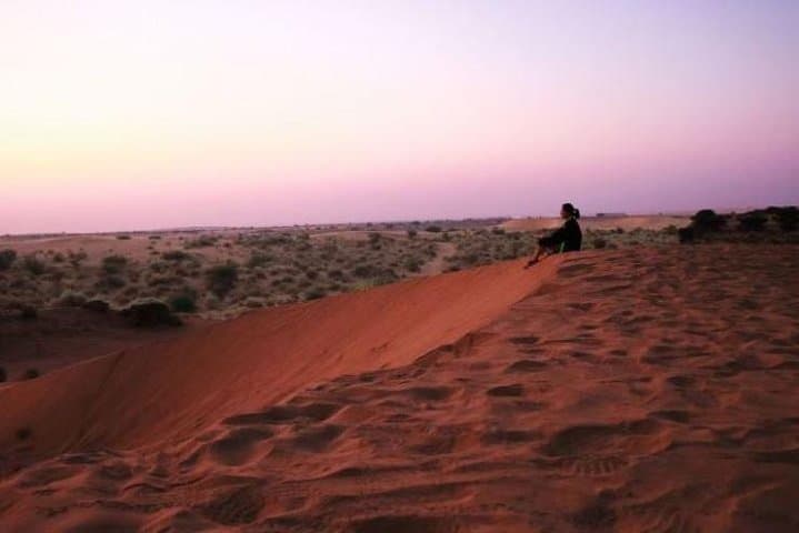 3-Day Private Jodhpur Tour: Mehrangarh, Bishnoi Villages & Osian Desert Safari photo 4