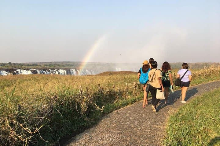 Guided Victoria Falls Tour: Rainforest Walks, Viewpoints & the Big Tree photo 6
