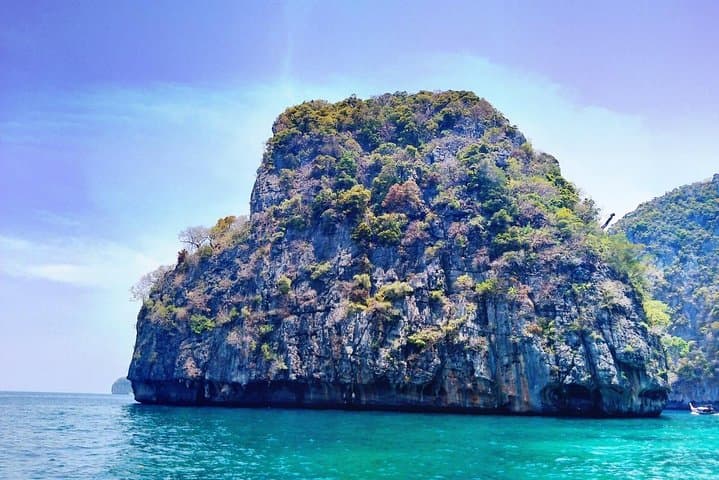 Phi Phi Half-Day Speedboat Tour: Maya Bay, Monkey Beach & Snorkeling photo 2