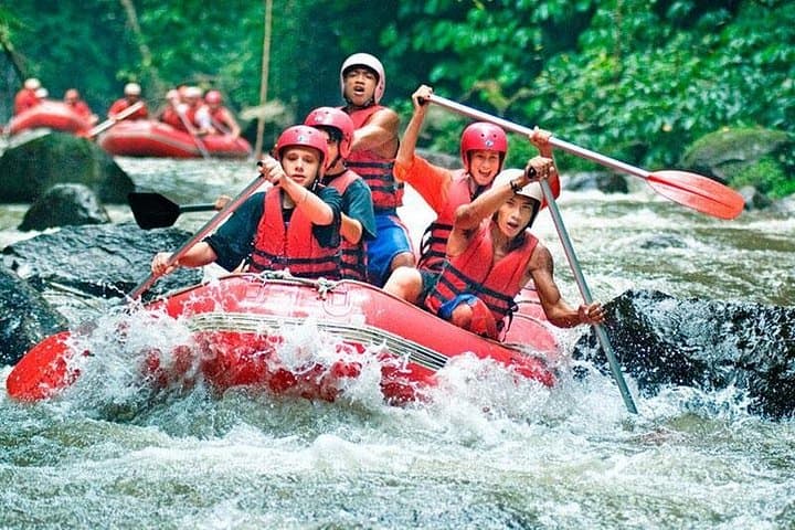 Ayung River White-Water Rafting in Bali — 10-Mile Adventure with Lunch photo 2