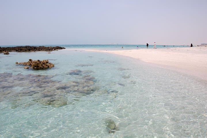 Dukhan & Zekreet West Coast Tour: Beaches, Serra Sculpture, and Oryx Encounters photo 4
