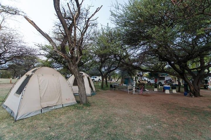 3-Day Etosha Budget Camping Safari — Game Drives & Night Waterhole Viewing photo 2