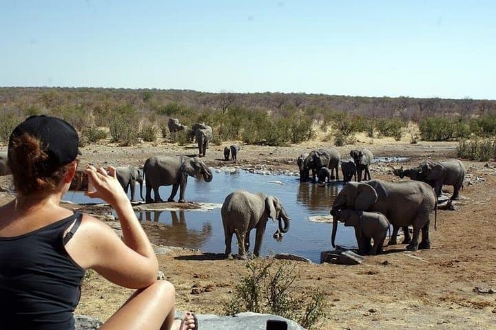 3-Day Etosha Budget Camping Safari — Game Drives & Night Waterhole Viewing photo 1