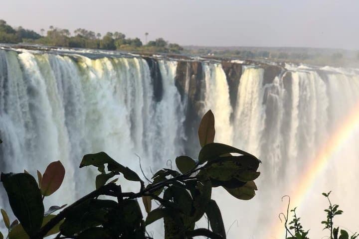 Chobe Day Safari from Victoria Falls: Game Drive, River Cruise & Big-Game Viewing photo 5