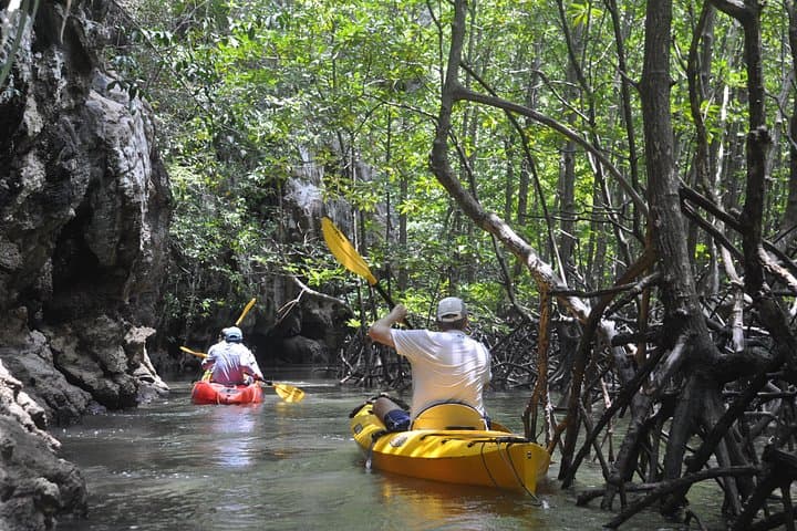 Phang Nga Bay By Sea Canoe: Hong by Starlight Night Paddle from Phuket photo 3