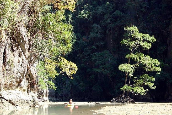 Phang Nga Bay By Sea Canoe: Hong by Starlight Night Paddle from Phuket photo 4