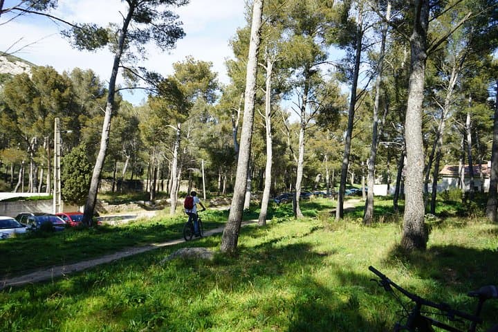 Marseille City and Calanques Full-Day E-Bike Tour photo 5