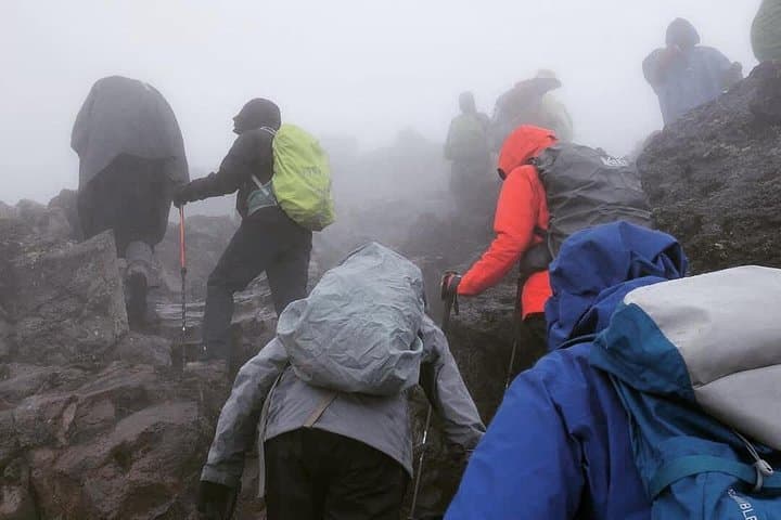 Kilimanjaro Day Hike to Marangu Lodges — Half‑Day Trek from Moshi
