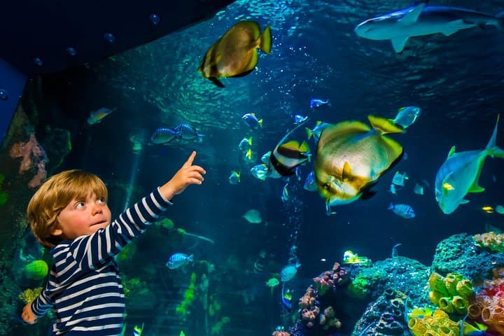 SEA LIFE Konstanz: Lake Constance Aquarium Admission & What to Expect photo 4