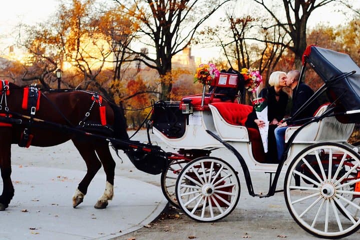 VIP Central Park Horse-Drawn Carriage Ride — 45-Minute Luxury Tour photo 3