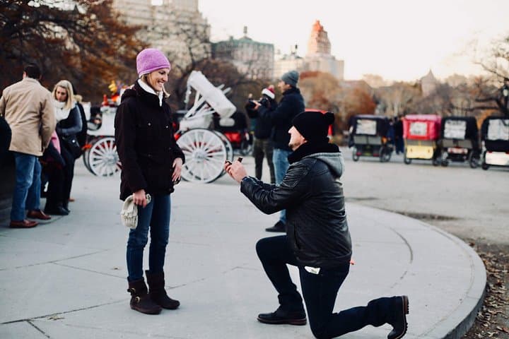 VIP Central Park Horse-Drawn Carriage Ride — 45-Minute Luxury Tour photo 4