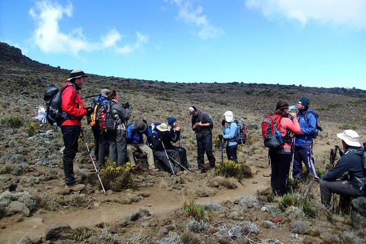 Machame Route 6-Day Kilimanjaro Climb: A Practical Guide to Summit Uhuru Peak photo 3