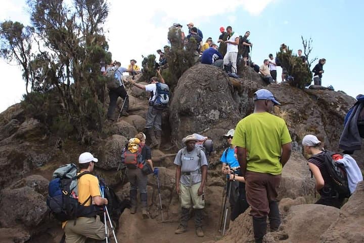 Machame Route 6-Day Kilimanjaro Climb: A Practical Guide to Summit Uhuru Peak photo 4