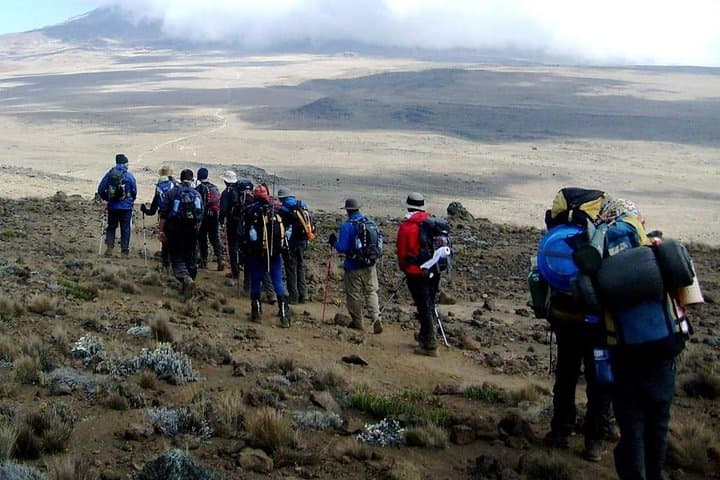 Machame Route 6-Day Kilimanjaro Climb: A Practical Guide to Summit Uhuru Peak photo 6