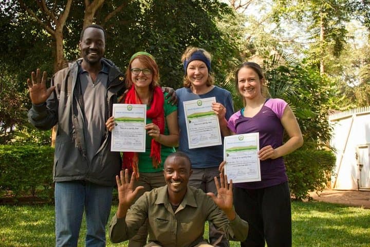 Lemosho Route 8-Day Kilimanjaro Climb: Itinerary, Summit Strategy & Practical Guide photo 5