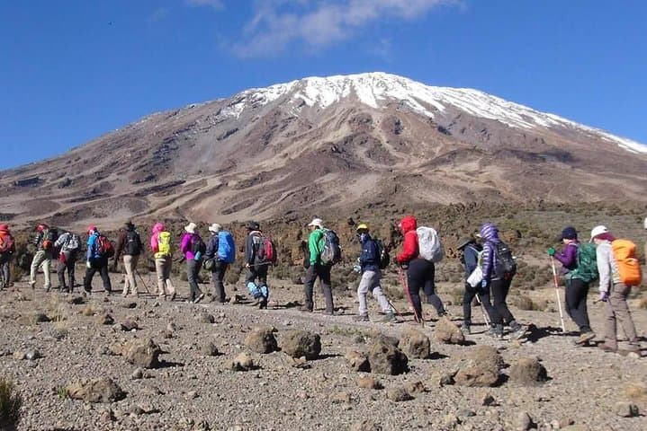 Machame Route 6-Day Kilimanjaro Climb: A Practical Guide to Summit Uhuru Peak photo 5