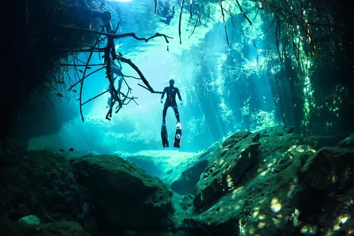 Freediving Discovery Day in Tulum: Cenote Apnea Experience
