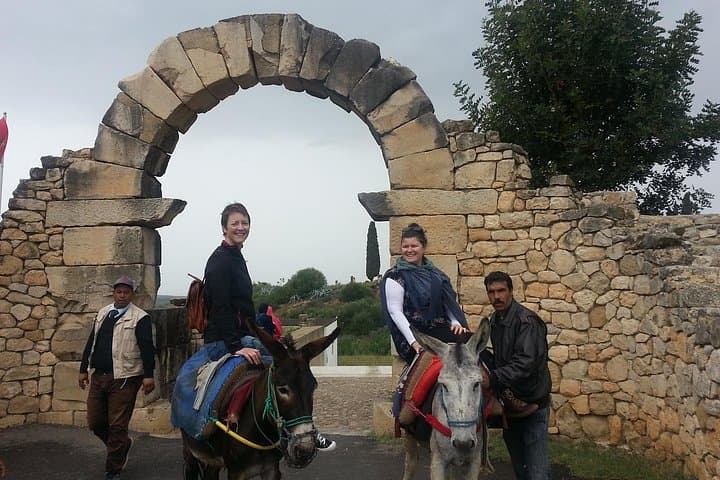 Donkey Ride from Moulay Idriss to Volubilis: Olive-Grove Passage to Roman Ruins photo 3