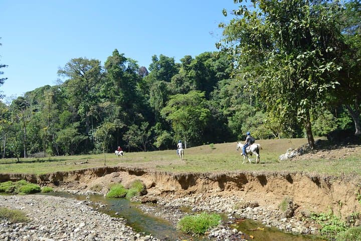 Rancho Típico Don Juan Horseback Ride and Waterfall Hike — Quepos, Costa Rica photo 3