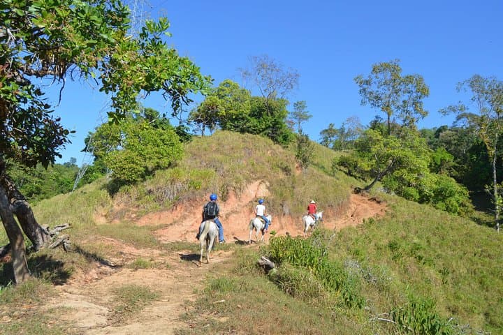 Rancho Típico Don Juan Horseback Ride and Waterfall Hike — Quepos, Costa Rica