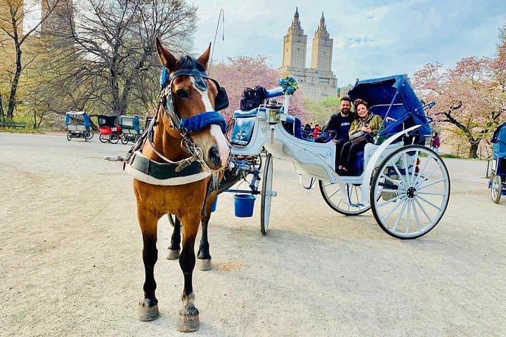 VIP Central Park Horse-Drawn Carriage Ride — 45-Minute Luxury Tour photo 2