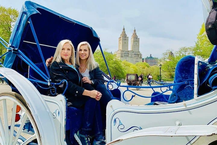VIP Central Park Horse-Drawn Carriage Ride — 45-Minute Luxury Tour photo 1