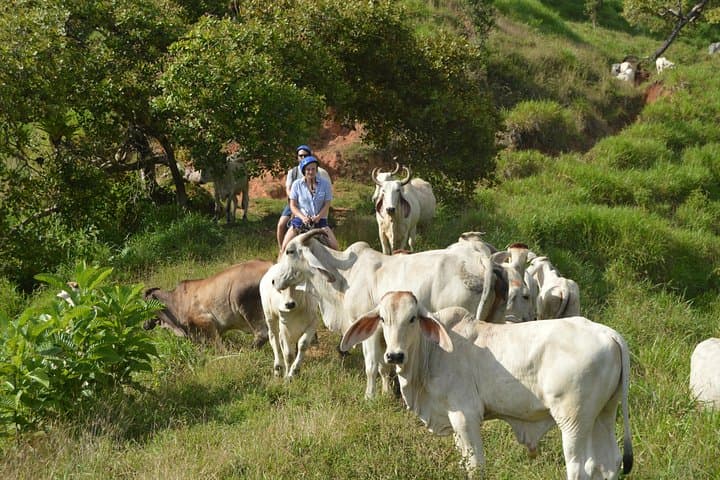 Rancho Típico Don Juan Horseback Ride and Waterfall Hike — Quepos, Costa Rica photo 2
