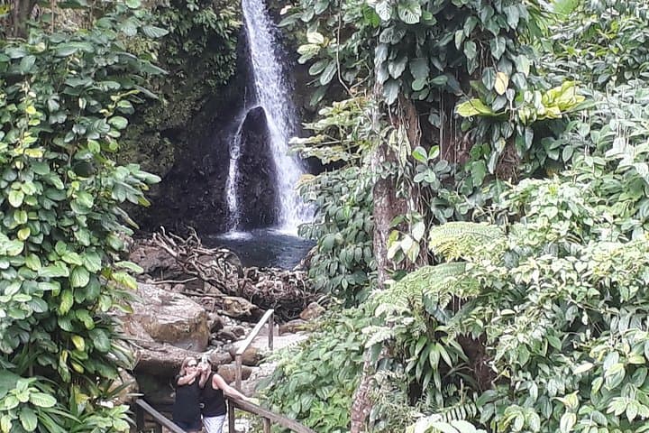 Dominica Half-Day: Mero Beach, Layou Waterfall Trek & Wotten Waven Mineral Baths photo 3