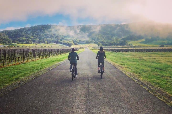 Sonoma Valley Pedal Assist Bike Tour with Picnic Lunch photo 3