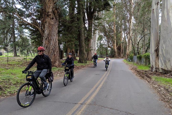 Sonoma Valley Pedal Assist Bike Tour with Picnic Lunch photo 4