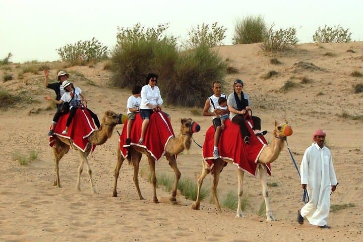 Sunset Dune Safari in Dubai: Dune Bashing, Camel Rides & Desert BBQ photo 5