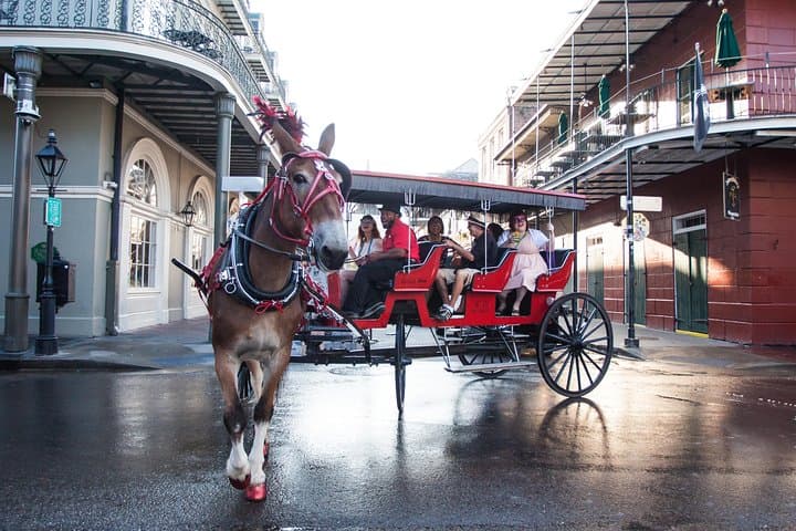 Mule-Drawn Carriage Ride Through New Orleans’ French Quarter