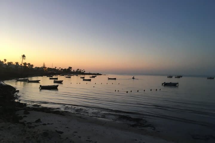 Djerba Sunrise Horseback Ride: 3-Hour Experienced Rider Tour