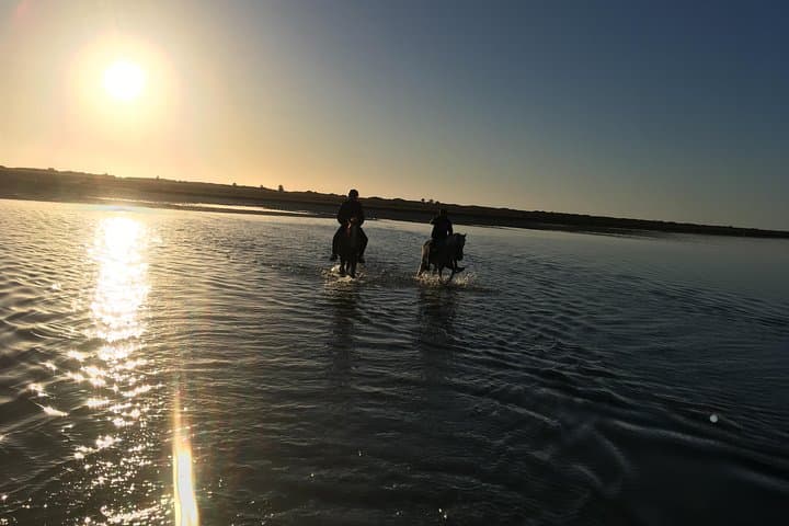 Djerba Sunrise Horseback Ride: 3-Hour Experienced Rider Tour photo 3