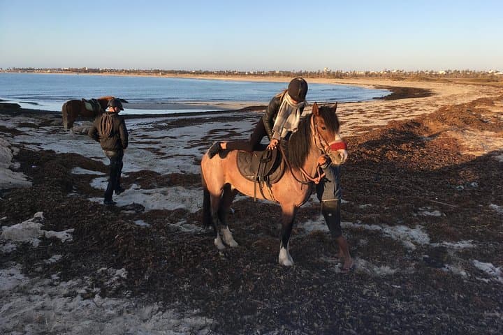 Djerba Sunrise Horseback Ride: 3-Hour Experienced Rider Tour photo 4